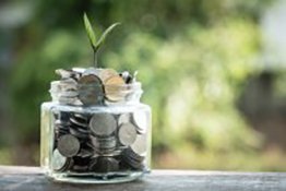 Plant growing out of coins.